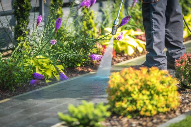 Best Dumpster Area Cleaning  in New Haven, MO