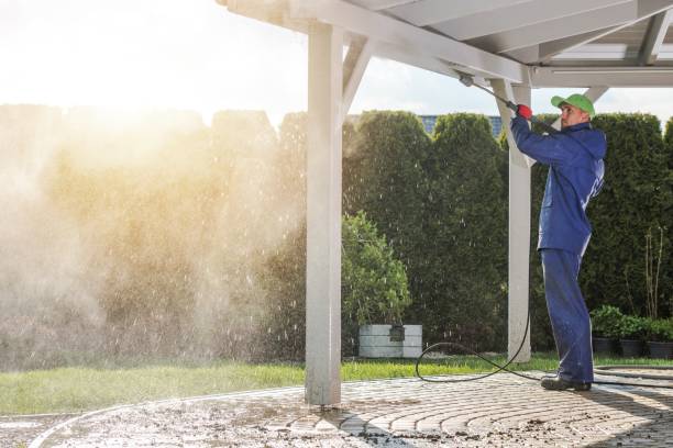 Best Driveway Pressure Washing  in New Haven, MO